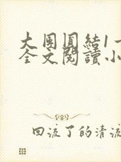 大团圆结1一6全文阅读小说封面