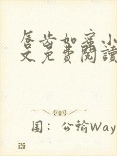 唇齿如蜜小说全文免费阅读