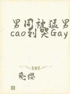 男同被猛男房东cao到哭Gay