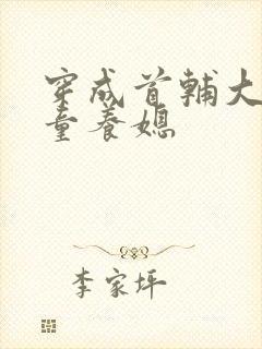 穿成首辅大人的童养媳封面