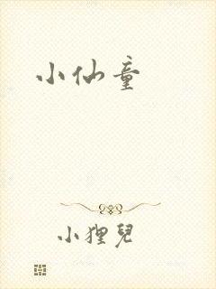 小仙童封面