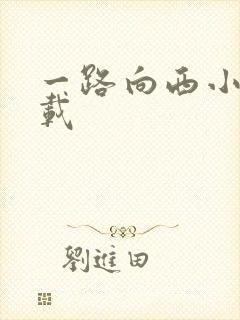 一路向西小说下载