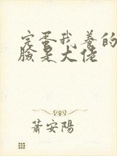 完蛋我养的小白脸是大佬