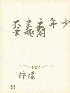 不良之年少轻狂笔趣阁