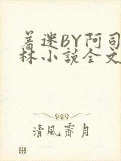 着迷BY阿司匹林小说全文免费阅读