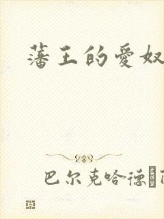 藩王的爱奴