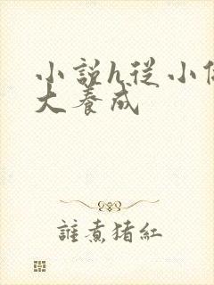 小说h从小做到大养成封面