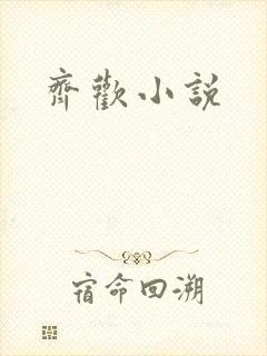 齐欢小说
