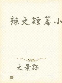 辣文短篇小说封面