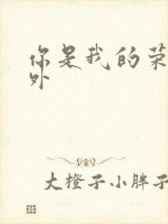 你是我的荣耀番外