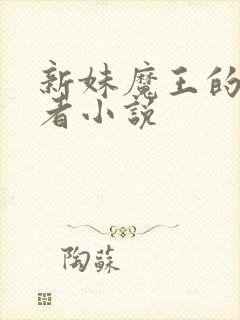 新妹魔王的契约者小说