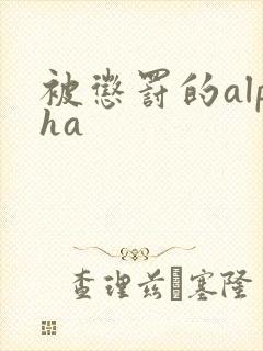 被惩罚的alpha