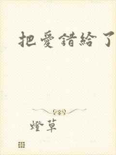 把爱错给了你