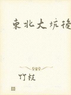 东北大坑后续2封面