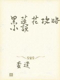 黑莲花攻略手册小说