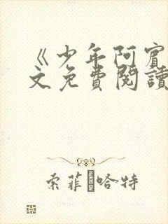 《少年阿宾》全文免费阅读