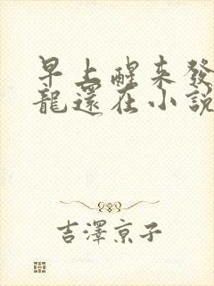 早上醒来发现巨龙还在小说