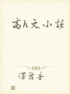 高h文小说