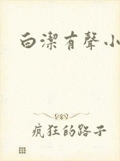 白洁有声小说封面