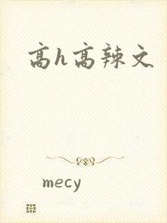 高h高辣文