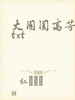 大团圆高芳小说txt