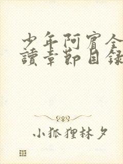 少年阿宾全文阅读章节目录