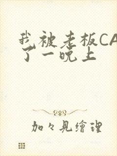 我被老板CAO了一晚上