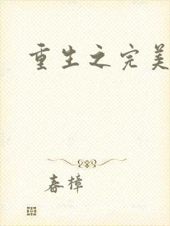 重生之完美一生封面