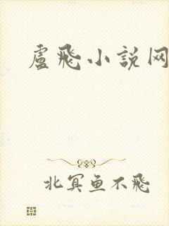 卢飞小说网