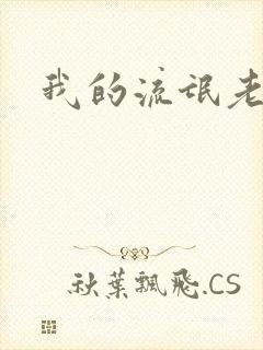 我的流氓老师封面