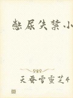 憋尿失禁小说封面