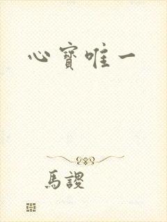 心宝唯一封面