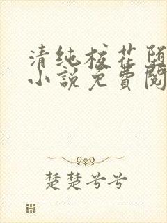 清纯校花堕落记小说免费阅读