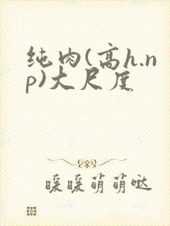 纯肉(高h.np)大尺度