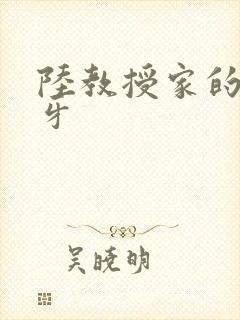 陆教授家的小月牙封面