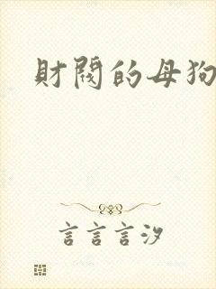 财阀的母狗们