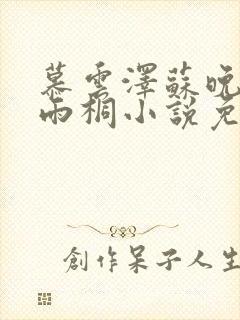 慕云泽苏晚晴夏雨桐小说免费阅读封面