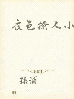 夜色撩人小说封面