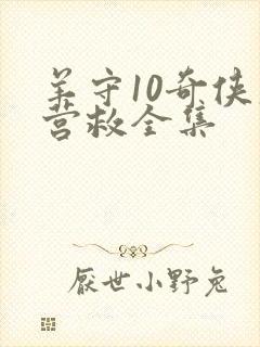 羊守10奇侠大营救全集封面