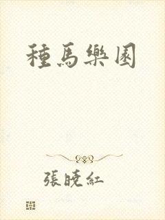 种马乐园封面