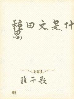 种田文是什么意思