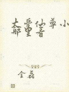 大爱仙尊小说在哪里看