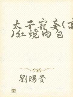 太子宠妾(高肉)红烧肉包