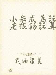 小米成为玩具店老板的玩具