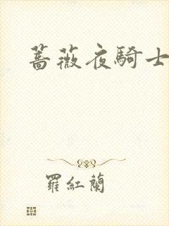 蔷薇夜骑士