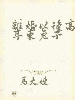 离婚以后高干 耳东兔子