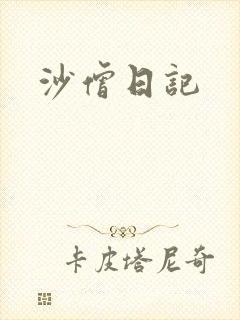 沙僧日记封面