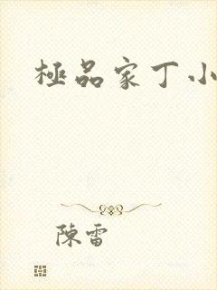极品家丁小说