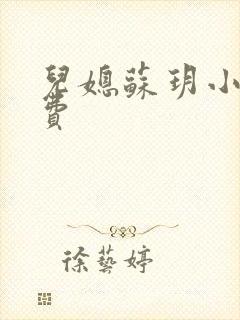 儿媳苏玥小说免费封面