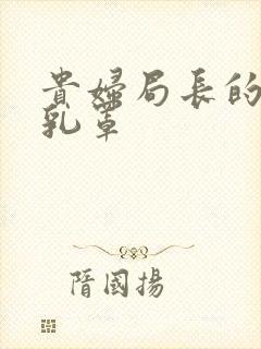 贵妇局长的蕾丝乳罩